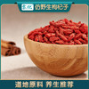 零化仿野生枸杞子先锋镇枸杞特优级枸杞125g 商品缩略图1
