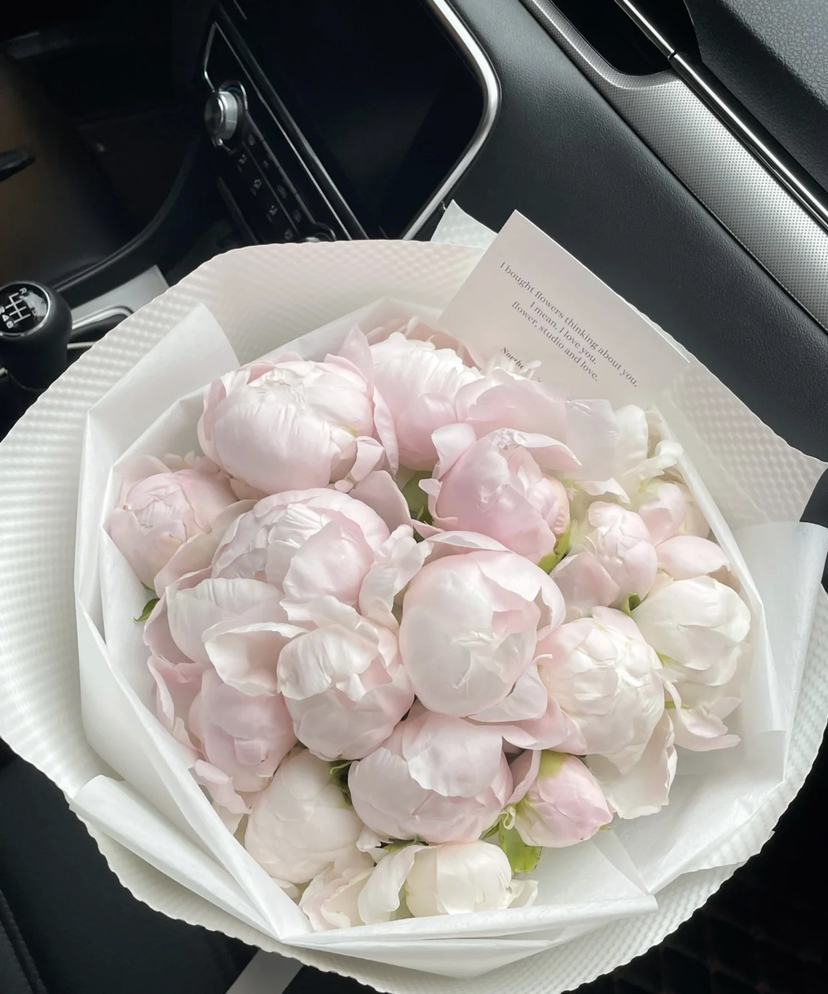 国产芍药-【美国小姐】