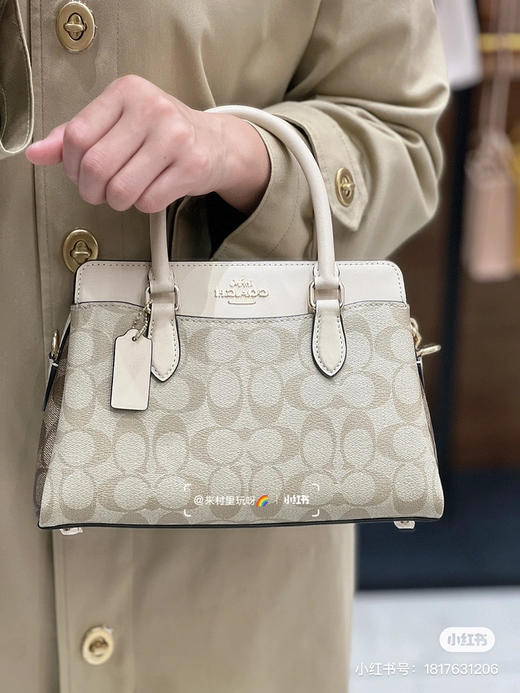 新款戴妃包 Darcie 系列 商品图5