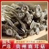 黔东南剑河【干鹿茸菇】80g 全国包邮部分地区不发货 蛋白质、维生素等含量丰富，经烹饪菌肉肥厚细腻、清新扑鼻、口感脆滑 商品缩略图1