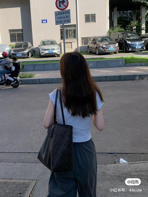 coach经典老花托特 商品图1