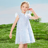 【110-160】女童夏款网纱仙女公主连衣裙马骑顿旗下LAVI 商品缩略图3