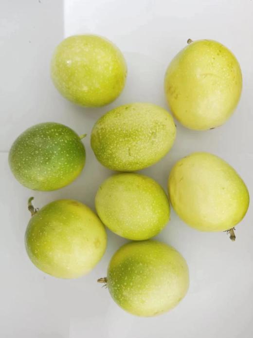 【大口黑标水果】海南钦蜜9号黄金百香果  只选大果 直接吃 甜美蜜桃气息 商品图5