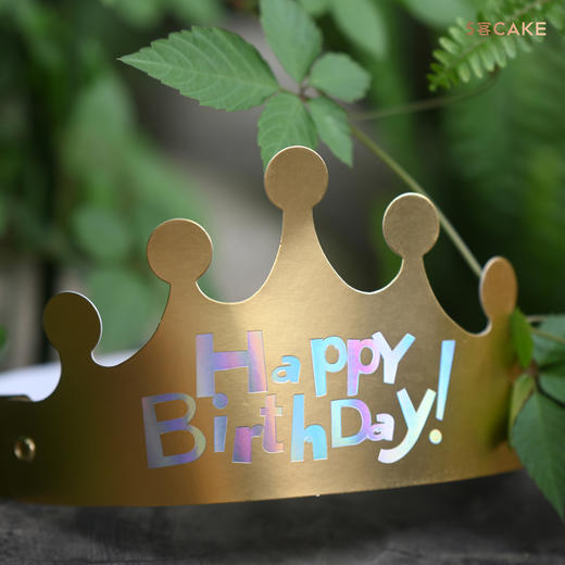 【默认标准配件】无需下单 商品图0