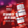 百威啤酒经典醇正330ml*1听/6听/24听整箱 商品缩略图5