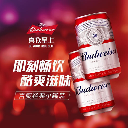 百威啤酒经典醇正330ml*1听/6听/24听整箱 商品图5