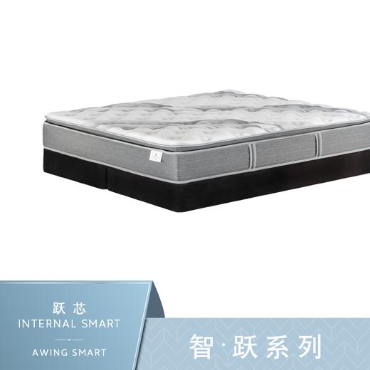 Sealy丝涟床垫 智·跃系列 跃芯 Internal Smart 商品图0