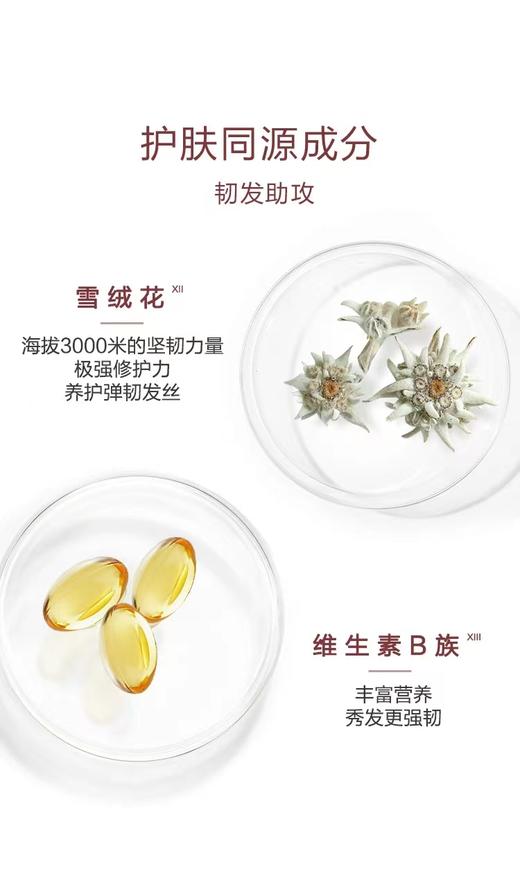 保税|蔻萝兰金鸡纳固发洗护系列洗发水400ml护发素200ml 至26.1 商品图3