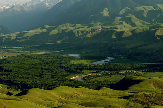5月30日（越野车）【新疆】转场C:哈萨克牧民转场+伊犁花海+沙漠人文摄影旅游采风16天摄影团 商品图1