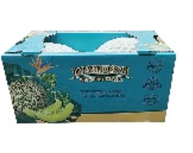 网纹瓜4-5斤（2个装）/箱