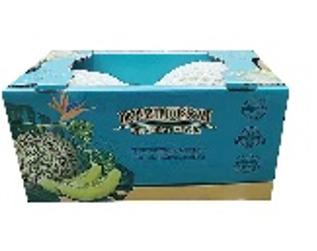 网纹瓜4-5斤（2个装）/箱 商品图0