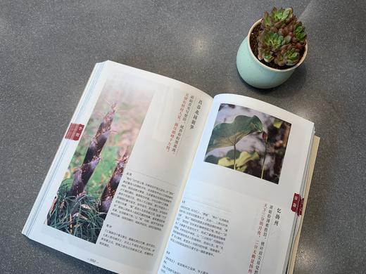 《唐诗三百首•意象摄影版》经典唐诗+意象摄影 商品图4