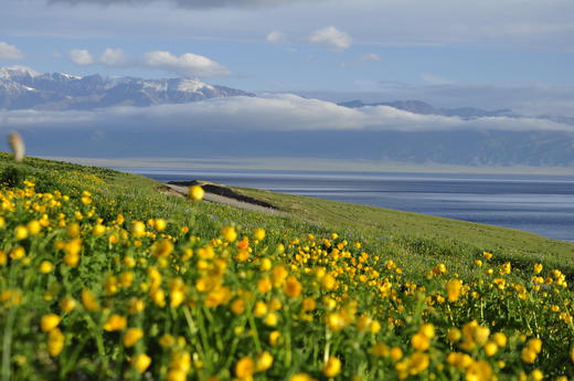 5月30日（越野车）【新疆】转场C:哈萨克牧民转场+伊犁花海+沙漠人文摄影旅游采风16天摄影团 商品图2