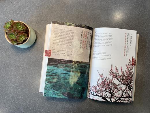 《唐诗三百首•意象摄影版》经典唐诗+意象摄影 商品图3