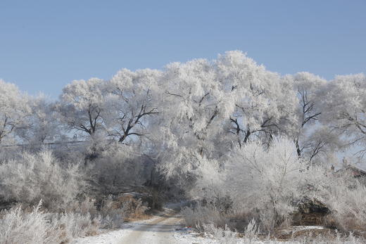 冰雪奇缘(B):中俄边境沿黑龙江：大兴安岭漠河、北极村+黑河、小兴安岭林海、库尔滨雾凇 12天 商品图6