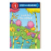 英文原版 Step into Reading 1 - Look for the Lorax  Dr. Seuss 寻找Lorax 苏斯博士 英文版 进口英语原版书籍 商品缩略图0