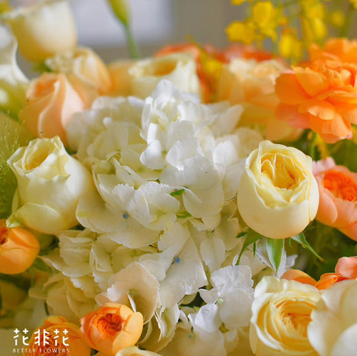 《晨希》进口马蹄莲跳舞兰奶油杯高级抱抱桶 商品图7