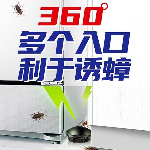 叮叮杀蟑饵剂蟑螂屋 商品图1