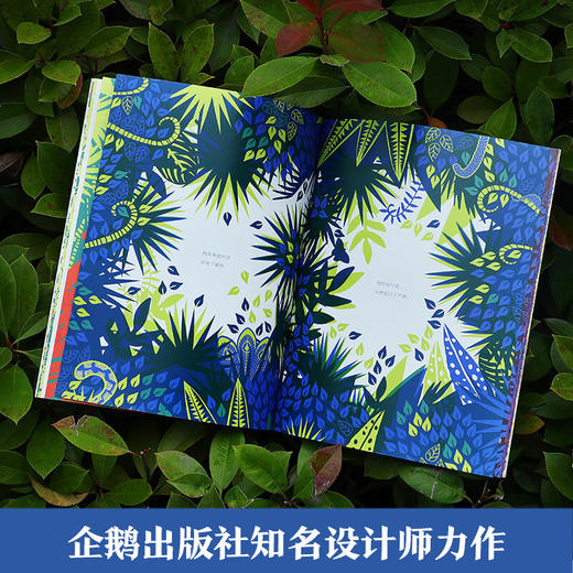 飞鸟与树 平装版 6岁+ 科拉莉·比克福德-史密斯 著 儿童绘本 商品图1