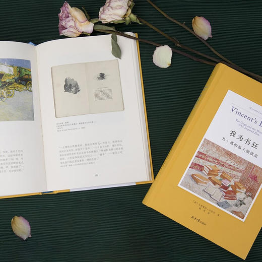 我为书狂 凡 高的私人阅读史 马里耶拉·古佐尼 著 传记 商品图0