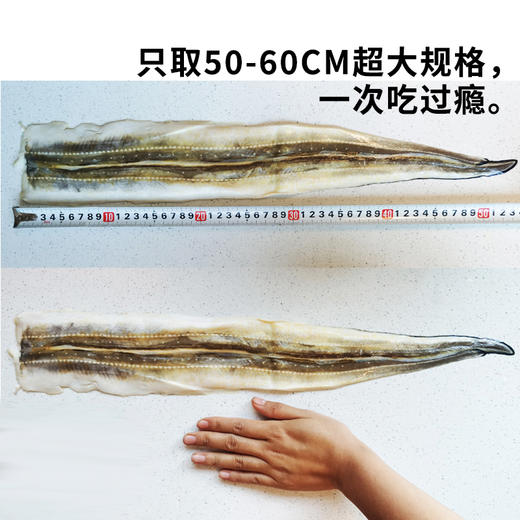 快晓鲜天然野生海鳗鱼每条210g，不加调料、简单煎制就非常好吃 商品图4