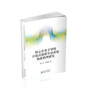 核心企业主导的开放式创新生态系统构建机理研究