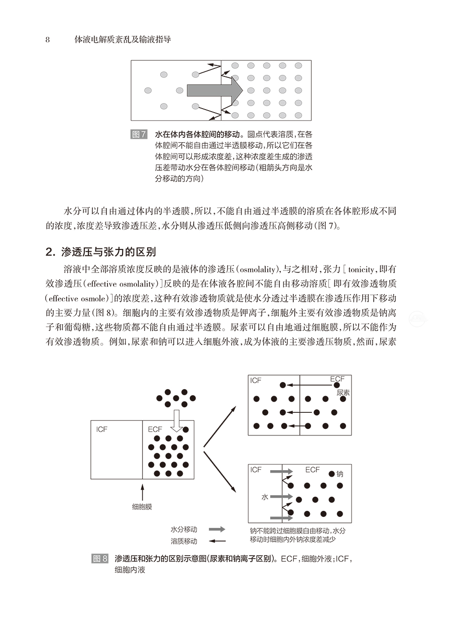 34334(yz) (8).jpg