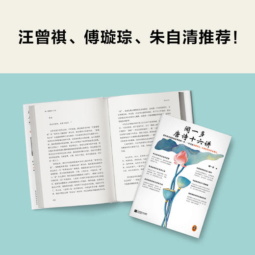 读客闻一多唐诗十六讲闻一多一针见血讲透李白杜甫们的诗好在哪儿 商品图3