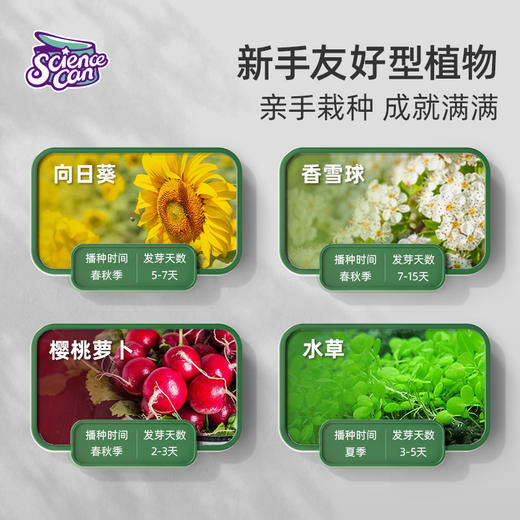 科学罐头植物种植课套装儿童植物生长观察盒幼儿园小学科学小实验套装种菜玩具 商品图5