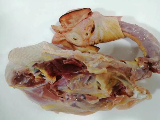 有机鸡架子 吃蔬菜/吃粮/散养/当日屠宰/空运 商品图3