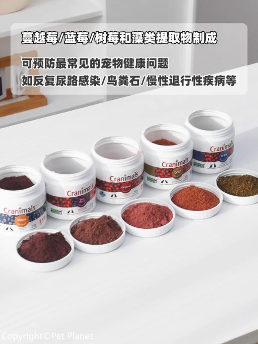 克雷蒙加拿大cranimals蔓越莓粉保护泌尿防尿结石70g 犬猫通用 商品图0