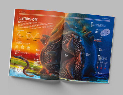 《国家地理图解万物大百科》动植物 全6册  图解大千世界 透视奇妙科学 美国国家地理权威出品 商品图4