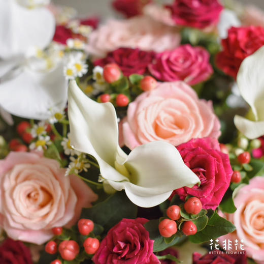 《她的花园》多头紫罗兰玫瑰朱小姐玫瑰蝴蝶兰马蹄莲抱抱桶 商品图5