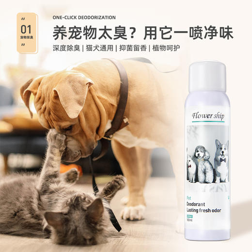 花卉诗宠物深度除味喷雾猫犬通用植物温和配方 商品图0