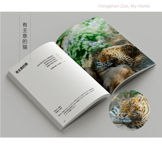 红山动物园是我家 朱赢椿等 著 科普读物 商品图2