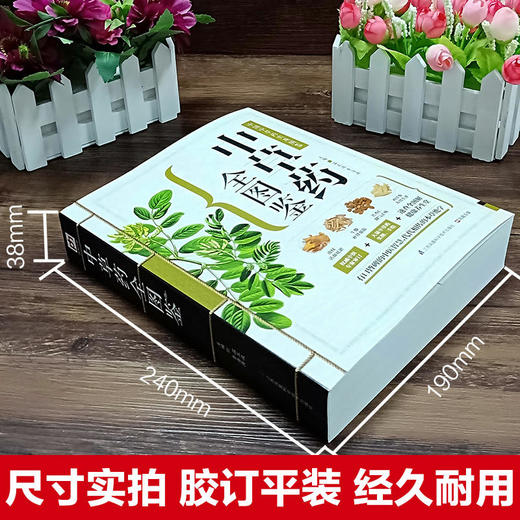【推荐】全2册中草药全图鉴+千金方（精版）中药材识别图鉴书 商品图1