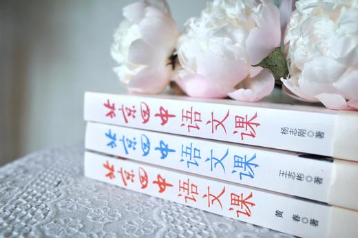 【2023学霸备考读本】北京四中语文课（全3册）：细说诗文+名篇品读+何止文章【16开大本，赠四中红楼梦解读法】，中国古代诗歌散文欣赏 作文素材 商品图10