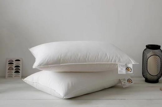 芙瑞缇全季酒店抑菌水洗枕 商品图0