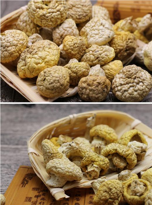 青海祁连黄菇精品礼盒 500g一斤装 全国包邮 祁连山野生黄蘑菇 青海十宝之一 商品图6