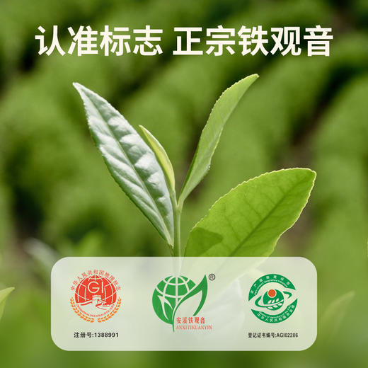 华祥苑-金凤凰清香铁观音分享装 62.52g 商品图2