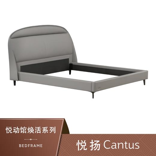 Sealy丝涟床架 焕活系列 悦扬 Cantus 商品图0