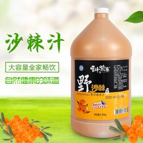 *云中紫塞沙棘汁2.25kg（35%沙棘含量）果汁饮料整箱山西特产新鲜野生沙棘茶生榨果油