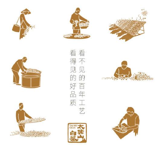 【直送到家】400g太姥山2019年正山雅藏-白毫银针 商品图1