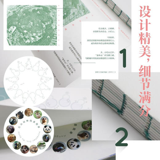 红山动物园是我家 朱赢椿等 著 科普读物 商品图0