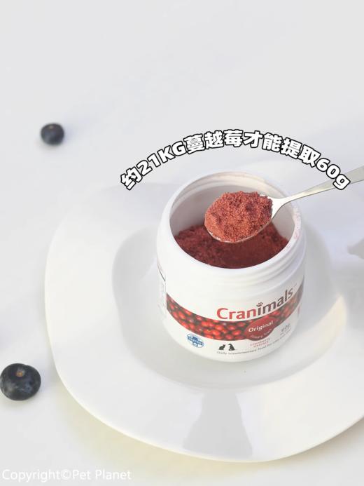 克雷蒙加拿大cranimals蔓越莓粉保护泌尿防尿结石70g 犬猫通用 商品图1