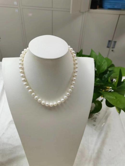 淡水珍珠项链 98520 8.5-9.5mm 商品图0