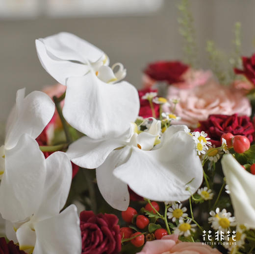 《她的花园》多头紫罗兰玫瑰朱小姐玫瑰蝴蝶兰马蹄莲抱抱桶 商品图4