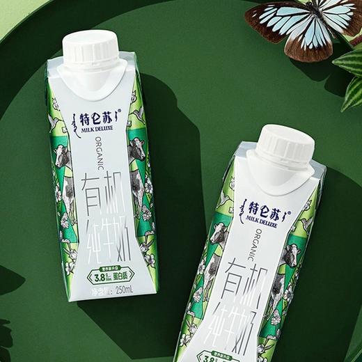 特仑苏有机纯牛奶全脂灭菌乳梦幻盖250ml*10盒3.8g蛋白质早餐奶礼盒装 商品图0