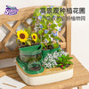 科学罐头植物种植课套装儿童植物生长观察盒幼儿园小学科学小实验套装种菜玩具 商品缩略图1