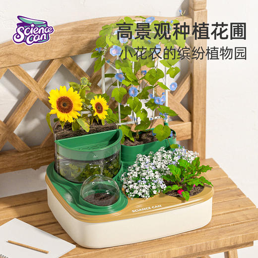 科学罐头植物种植课套装儿童植物生长观察盒幼儿园小学科学小实验套装种菜玩具 商品图1